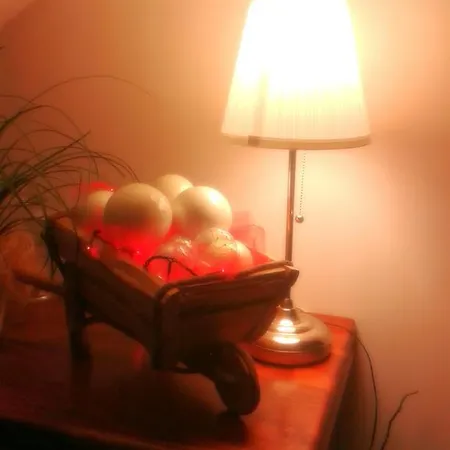 Al Chiaro Dei Loy B&B 팔미